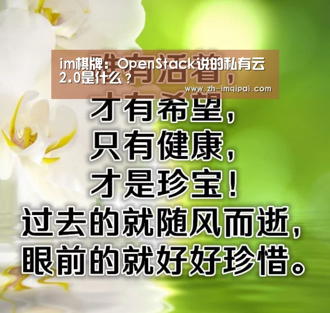 im棋牌
